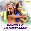 Radha Tu Hai Meri Jaan